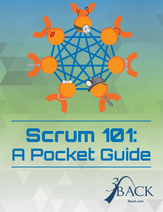 Cover of Scrum 101: A Pocket Guide by 3Back, featuring a network of connected figures symbolizing teamwork and collaboration.